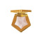 هایلایتر STAR DUST DIAMOND فراروچی مدل CHAMPAGNE
