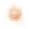 پودر فیکس رنگی فلورمار مدل 001 PALE SAND